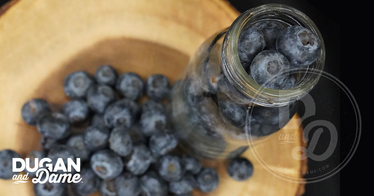 Dugan and Dame Plant Spotlight - Blueberry