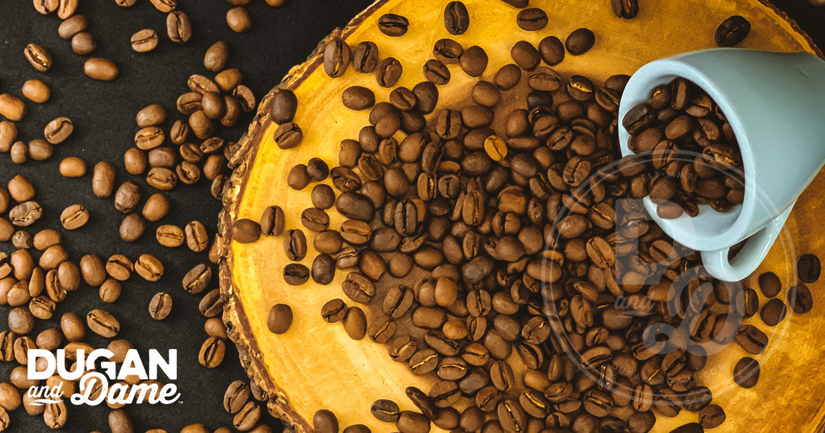 Plant Spotlight: Coffee