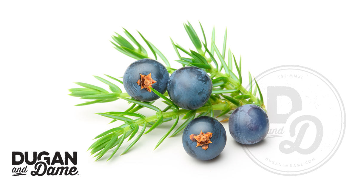 Plant Spotlight: Juniper
